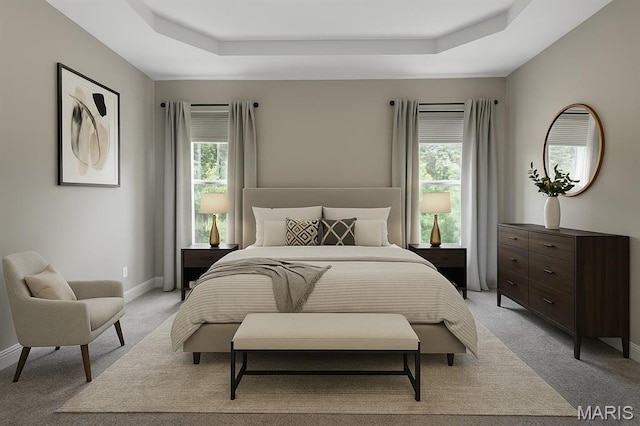 211 Cambium Ct, Wentzville, MO 63385 - bedroom with a raised ceiling and light colored carpet