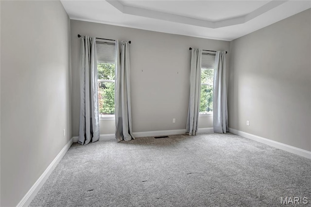 211 Cambium Ct, Wentzville, MO 63385 - empty room featuring carpet and a raised ceiling