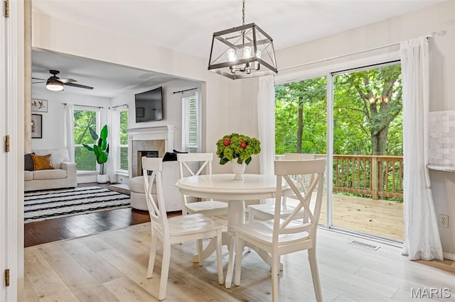 404 Arbor Spring Dr, Ballwin, MO 63021 - dining room featuring light wood-style floors, a chandelier, a ceiling fan, and a fireplace