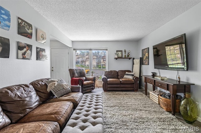 2318 Hidden Meadow Ln, Ballwin, MO 63021 - living area with a textured ceiling