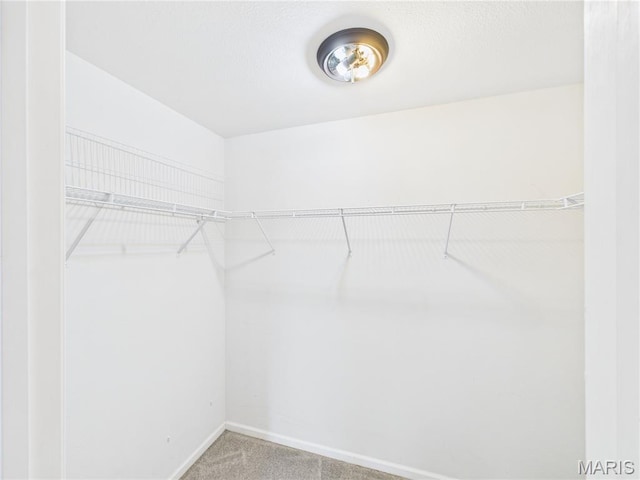 16107 Hummingbird Ln, Saint Robert, MO 65584 - spacious closet with carpet floors