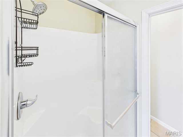 16107 Hummingbird Ln, Saint Robert, MO 65584 - full bath featuring a shower stall and tile patterned flooring