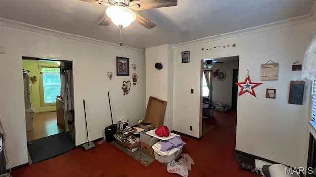 812 S Mine Ln, Motte, Fredericktown, MO 63645 - living room featuring ceiling fan, crown molding, and carpet