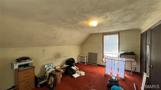 812 S Mine Ln, Motte, Fredericktown, MO 63645 - bonus room with vaulted ceiling and carpet floors