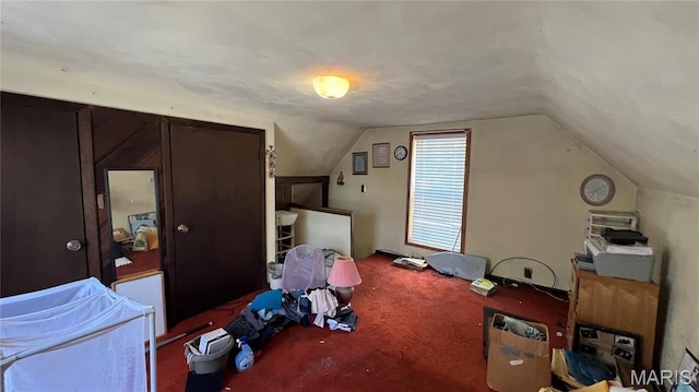 812 S Mine Ln, Motte, Fredericktown, MO 63645 - additional living space featuring vaulted ceiling and carpet flooring