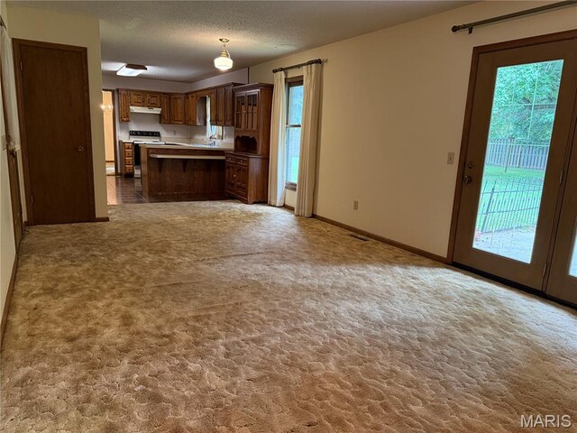 217 Foust Dr, Sikeston, MO 63801 - photo 9