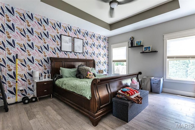 3841 Ember Ct, Edwardsville, IL 62025 - bedroom with wood finished floors, a tray ceiling, and ceiling fan