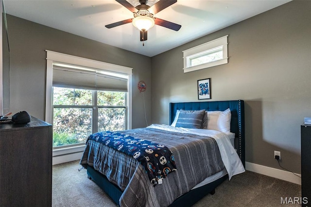 3841 Ember Ct, Edwardsville, IL 62025 - bedroom featuring carpet flooring, multiple windows, ceiling fan, and a baseboard radiator