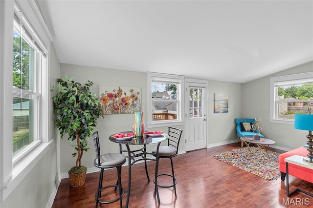 3119 Tamm Ave, Saint Louis, MO 63139 - dining room with vaulted ceiling, healthy amount of natural light, and wood finished floors