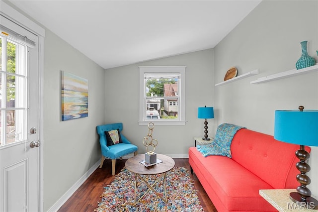 3119 Tamm Ave, Saint Louis, MO 63139 - living area with vaulted ceiling, wood finished floors, and plenty of natural light