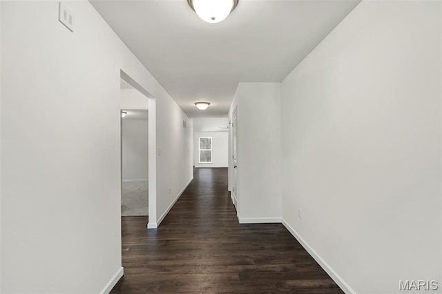4939 Knotty Alder Dr, Imperial, MO 63052 - corridor with baseboards and dark wood-style floors