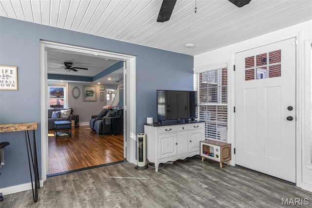402 S Walker St, Montgomery City, MO 63361 - entrance foyer with ceiling fan, healthy amount of natural light, and wood finished floors