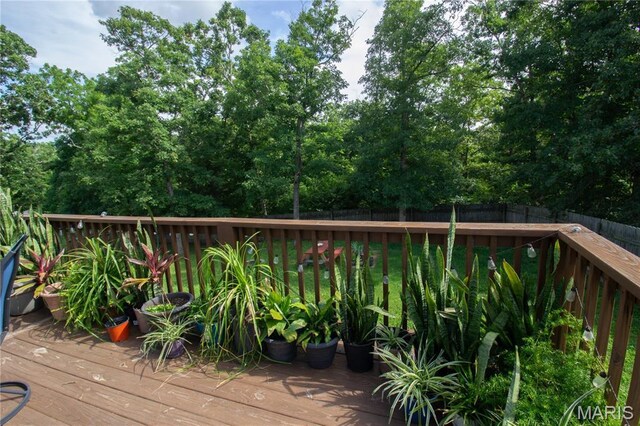 22800 Return Ln, Waynesville, MO 65583 - photo 50