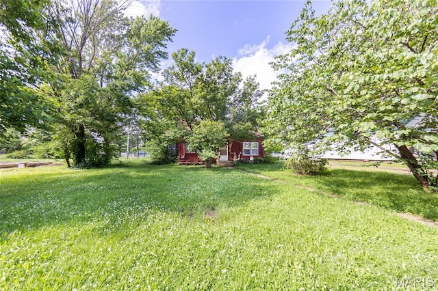 129 Maple Ave, Licking, MO 65542 - view of grassy yard