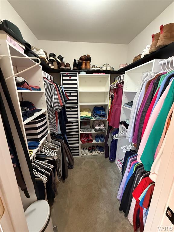 740 Shadow Pine Dr, Fenton, MO 63026 - view of spacious closet