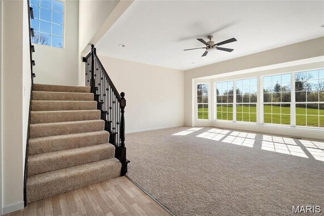 1024 Miremont Dr, Manchester, MO 63011 - photo 5