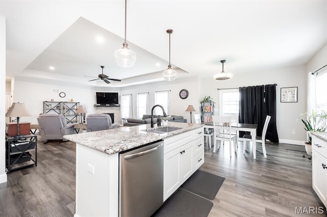 812 Green Jacket Way, Ofallon, IL 62269 - kitchen with stainless steel dishwasher, a raised ceiling, healthy amount of natural light, ceiling fan, and recessed lighting