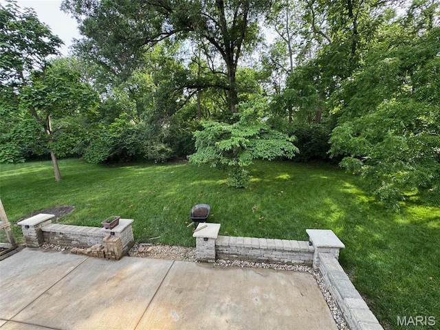 914 Dutch Mill Dr, Ballwin, MO 63011 - photo 43