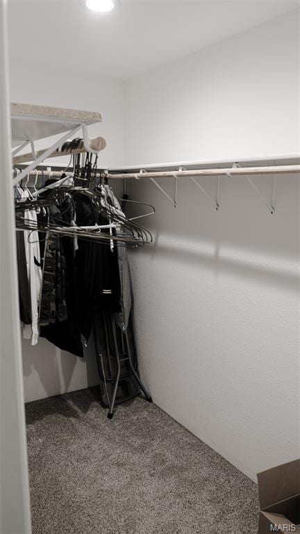 3215 Timber Ridge Rd, Palmyra, MO 63461 - spacious closet with carpet