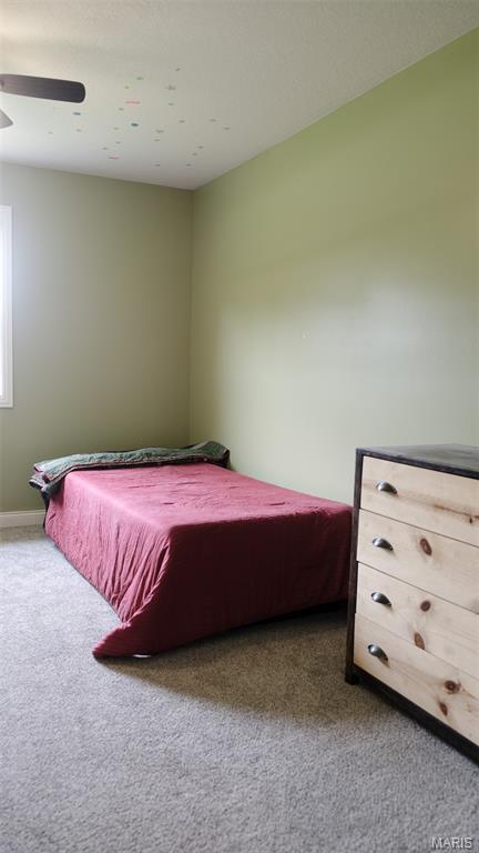 3215 Timber Ridge Rd, Palmyra, MO 63461 - carpeted bedroom with baseboards