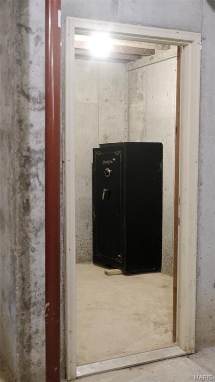 3215 Timber Ridge Rd, Palmyra, MO 63461 - detailed view of unfinished concrete floors