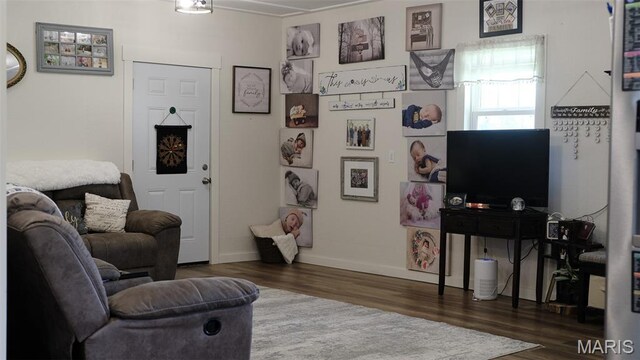 3215 Timber Ridge Rd, Palmyra, MO 63461 - living room featuring wood finished floors and baseboards
