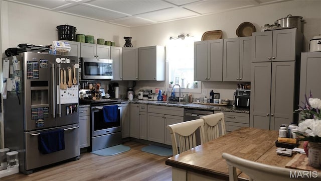 3215 Timber Ridge Rd, Palmyra, MO 63461 - kitchen featuring appliances with stainless steel finishes, light wood finished floors, and gray cabinets