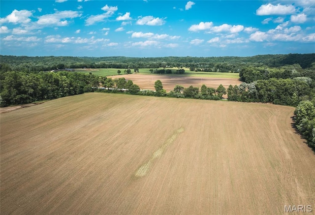 000 Shawneetown, Ford Spur Union, MO 63084