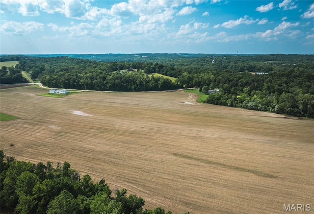 000 Shawneetown, Ford Spur Union, MO 63084