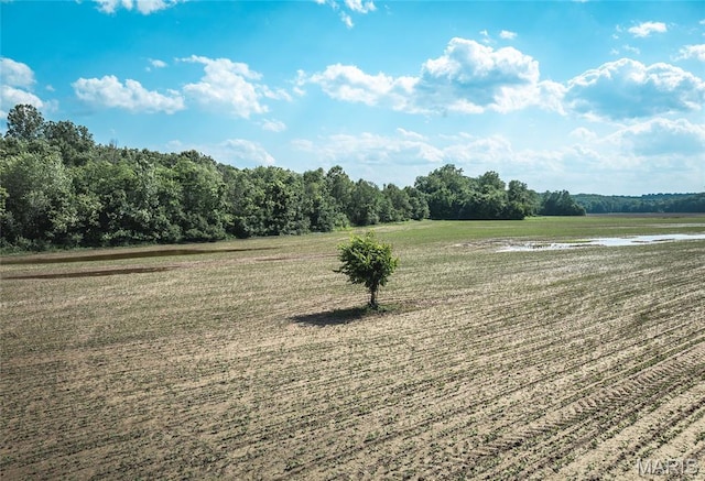 000 Shawneetown, Ford Spur Union, MO 63084