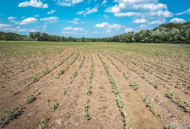 000 Shawneetown, Ford Spur Union, MO 63084