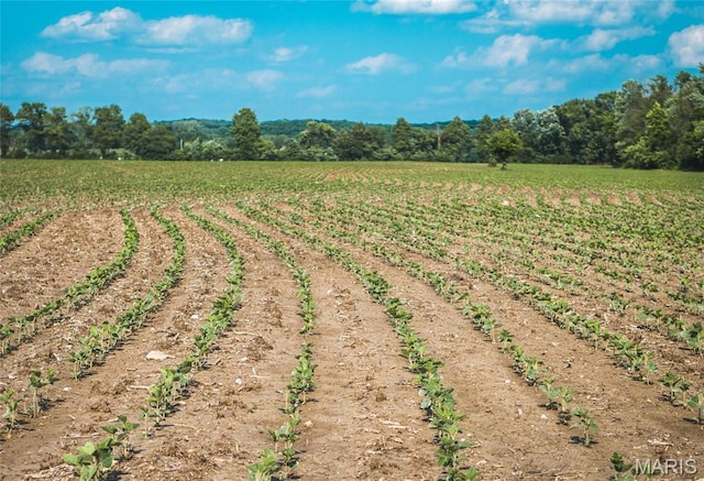 000 Shawneetown, Ford Spur Union, MO 63084