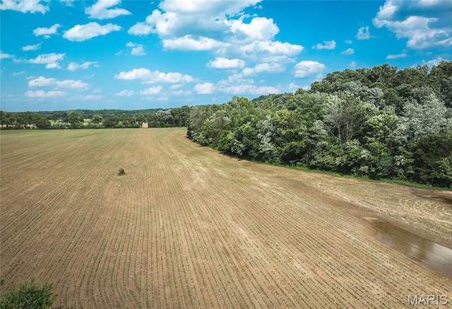 000 Shawneetown, Ford Spur Union, MO 63084