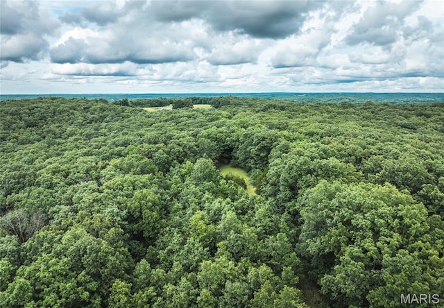 4117 Baumbach Rd, Mo, MO 65453