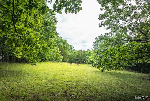4117 Baumbach Rd, Mo, MO 65453