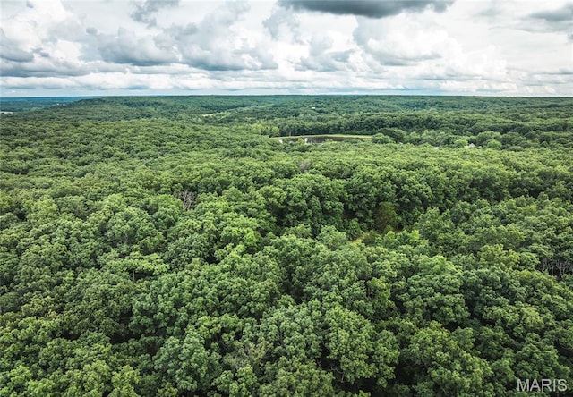 4117 Baumbach Rd, Mo, MO 65453