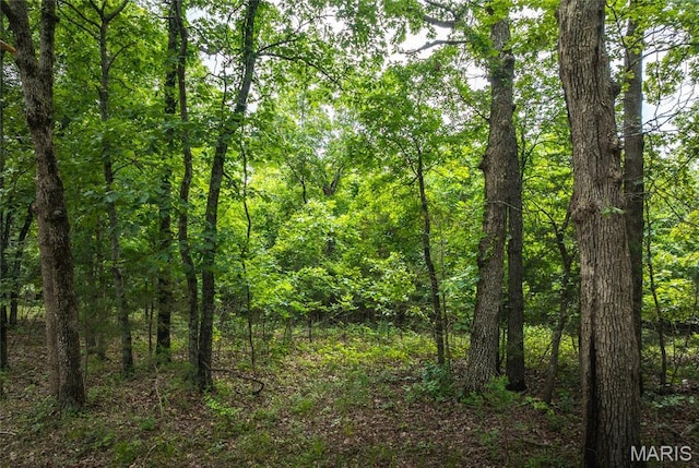 4117 Baumbach Rd, Mo, MO 65453