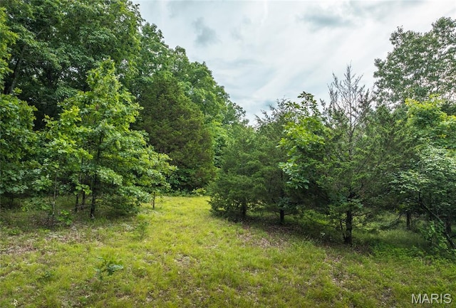 4117 Baumbach Rd, Mo, MO 65453