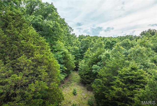 4117 Baumbach Rd, Mo, MO 65453
