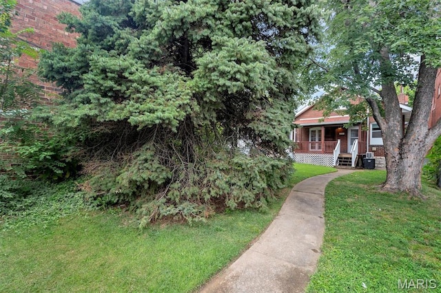 1035 Central Ave, Saint Louis, MO 63139 - photo 12