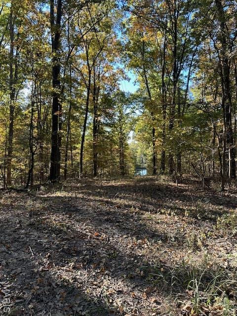 747 Hohokam Ln, Jackson, MO 63755 - photo 2