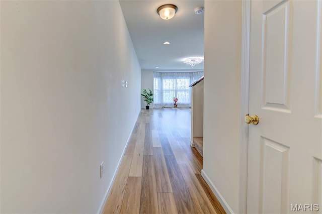 502 Summer Glen Ln, Saint Charles, MO 63301 - hall with wood finished floors and baseboards