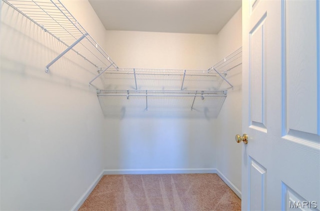 502 Summer Glen Ln, Saint Charles, MO 63301 - spacious closet featuring carpet flooring