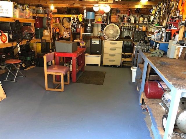 746 State Highway P, New Madrid, MO 63869 - basement with a workshop area