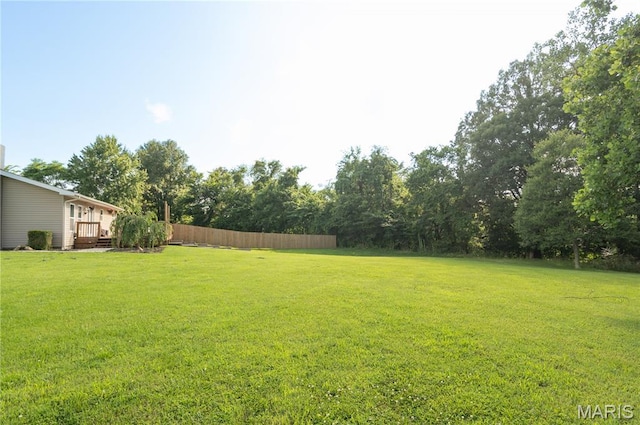 16533 Chateau Ln, Dexter, MO 63841 - view of yard