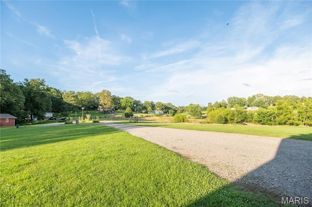 16533 Chateau Ln, Dexter, MO 63841 - surrounding community with a lawn