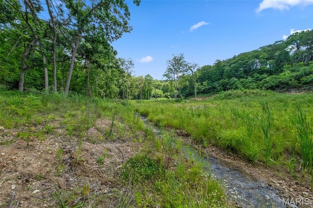 12.5/-AC Twin Riv, Eureka, MO 63025 - photo 6