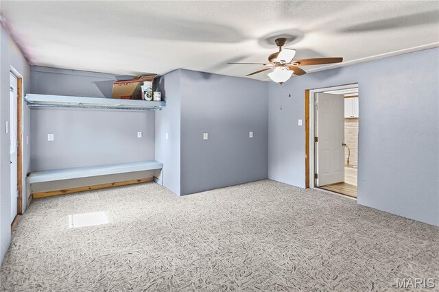 208 Ferguson St, Jerseyville, IL 62052 - photo 49