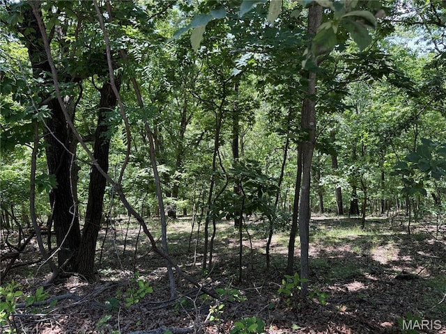 1361 Bear Canyon Rd, Wildwood, MO 63021 - photo 1