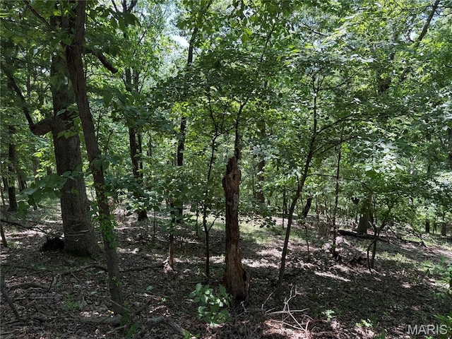1361 Bear Canyon Rd, Wildwood, MO 63021 - photo 2